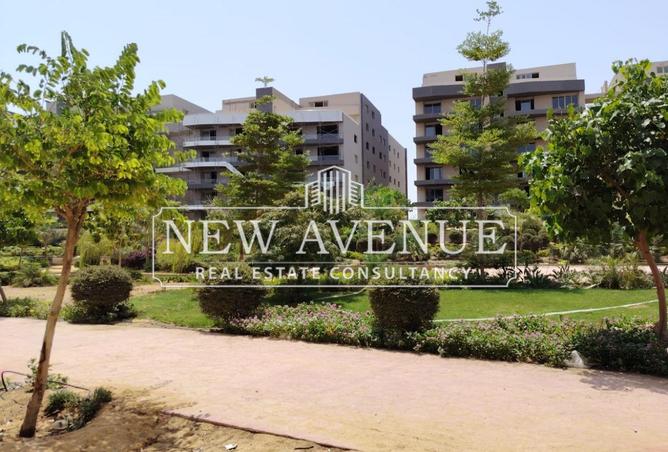 8106814 - Property Image 3