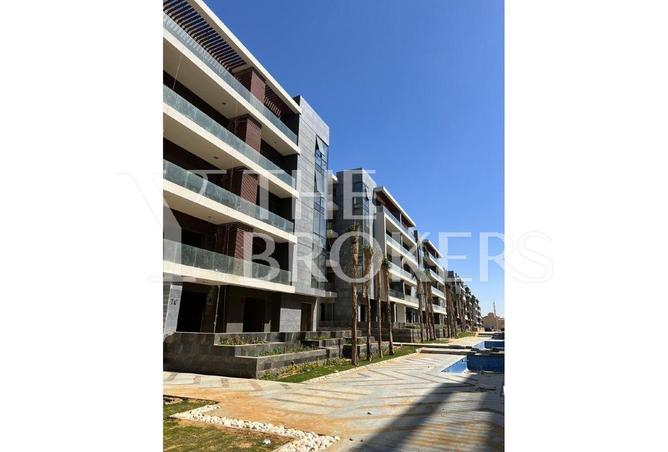 8021527 - Property Image 3