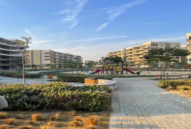 7993291 - صورة العقار 3