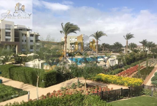 4913043 - صورة العقار 2