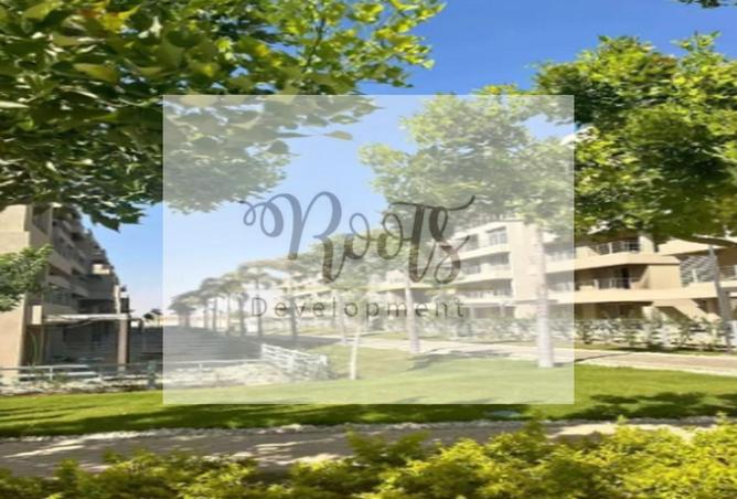 7897153 - صورة العقار 2