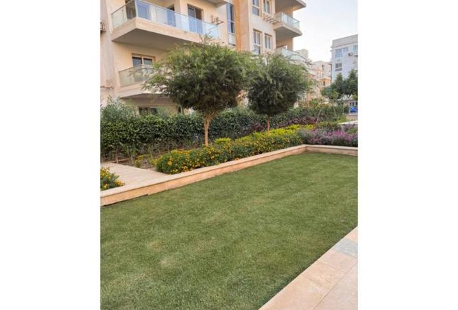8001248 - Property Image 3
