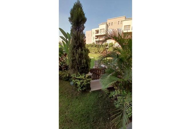 8307464 - صورة العقار 2