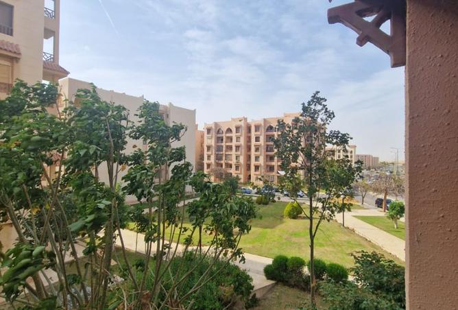 8452848 - Property Image 3