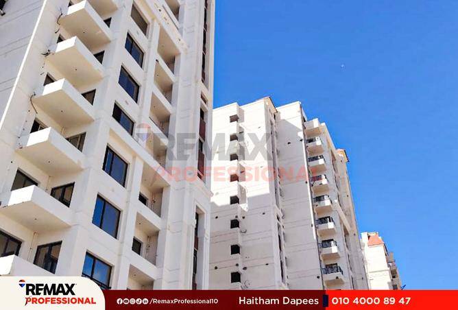 8452691 - Property Image 3