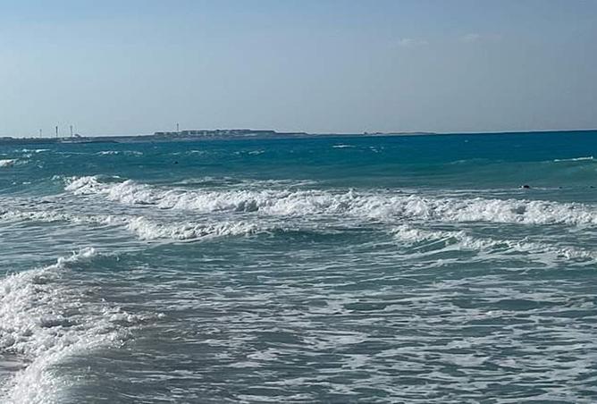 7937450 - صورة العقار 2