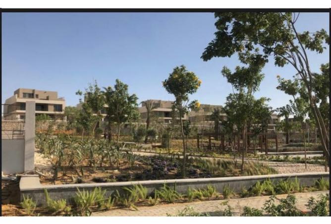 8282836 - Property Image 3