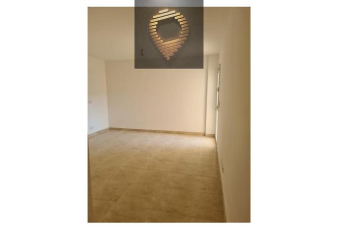 8097462 - صورة العقار 2