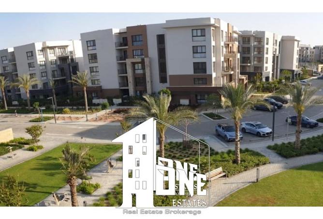 8136784 - صورة العقار 2