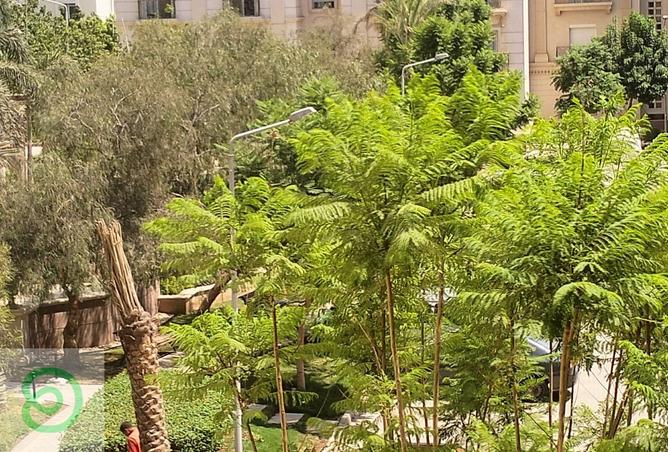 8154697 - Property Image 2