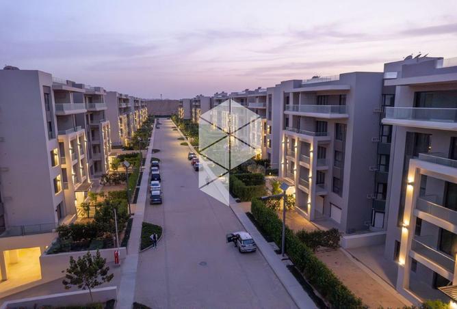 8253017 - صورة العقار 3