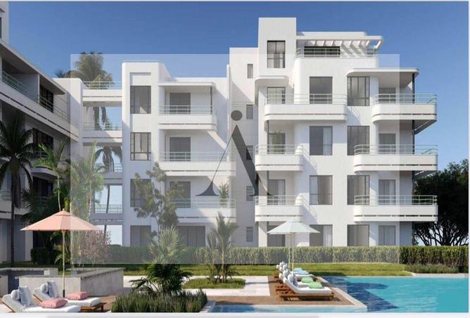 7981490 - Property Image 2