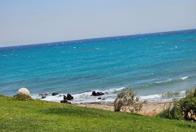 7982580 - صورة العقار 2