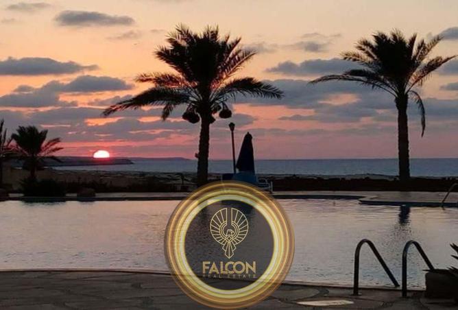 8450884 - Property Image 3