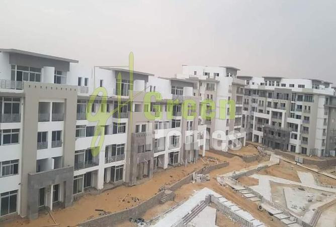 8271146 - Property Image 2