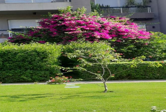 8509165 - صورة العقار 2