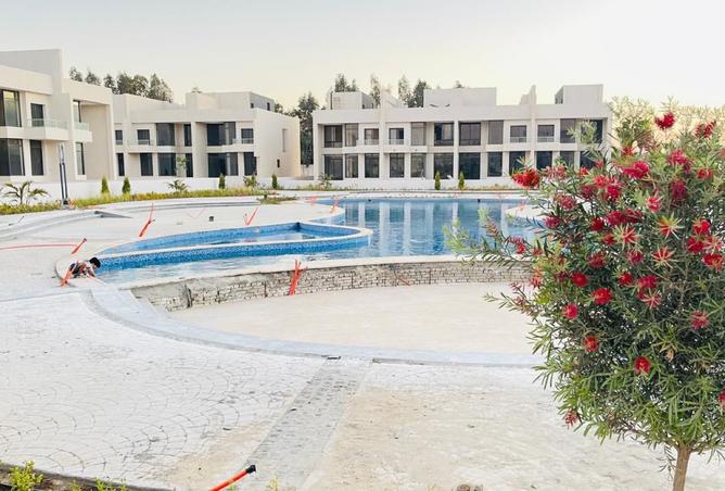 8167665 - Property Image 3