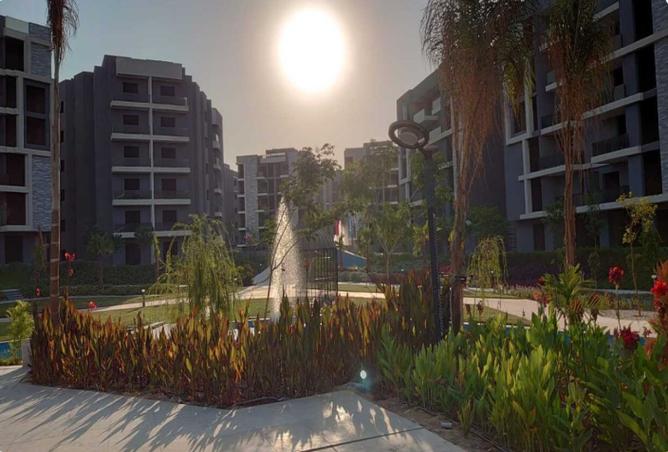 8142870 - Property Image 3