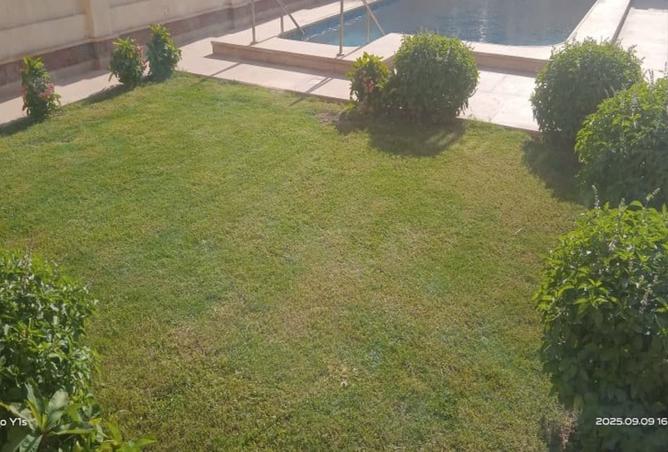 8199681 - صورة العقار 2