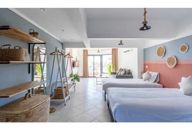 8433297 - Property Image 2