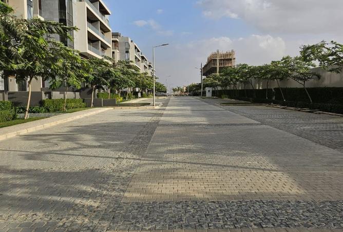 8560189 - Property Image 3