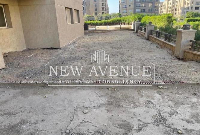 8147723 - Property Image 2