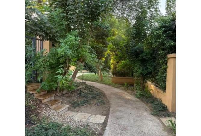 8192527 - صورة العقار 3