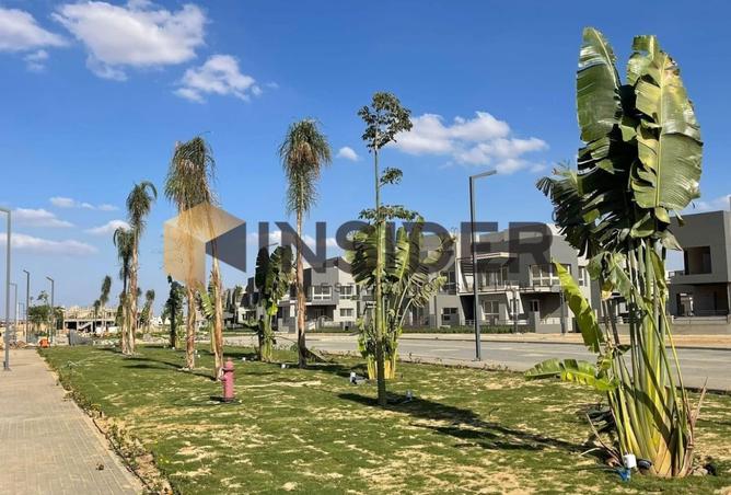 8392806 - Property Image 3