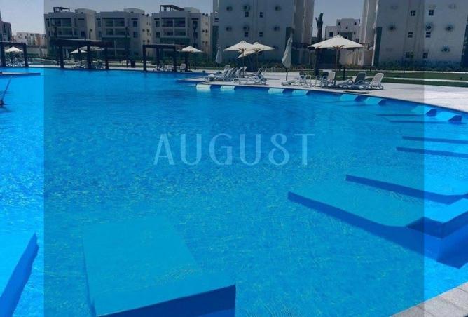 8060419 - Property Image 3