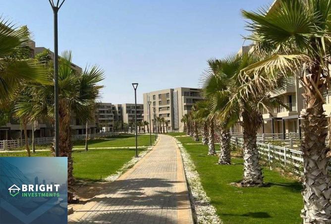 8241437 - صورة العقار 3