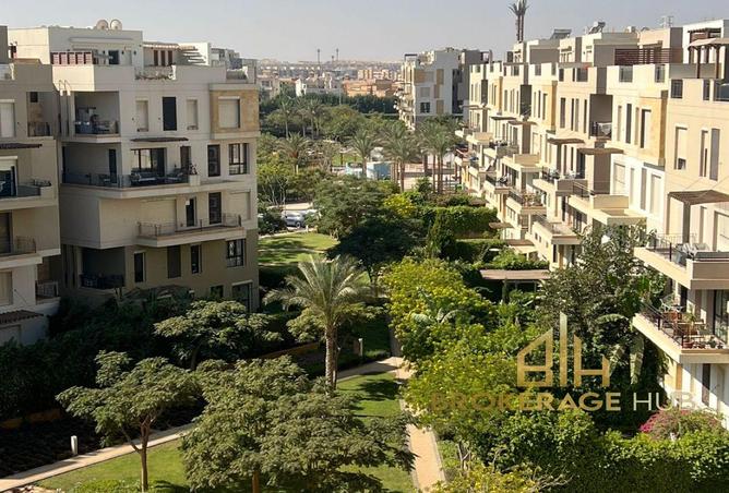 8351614 - Property Image 3