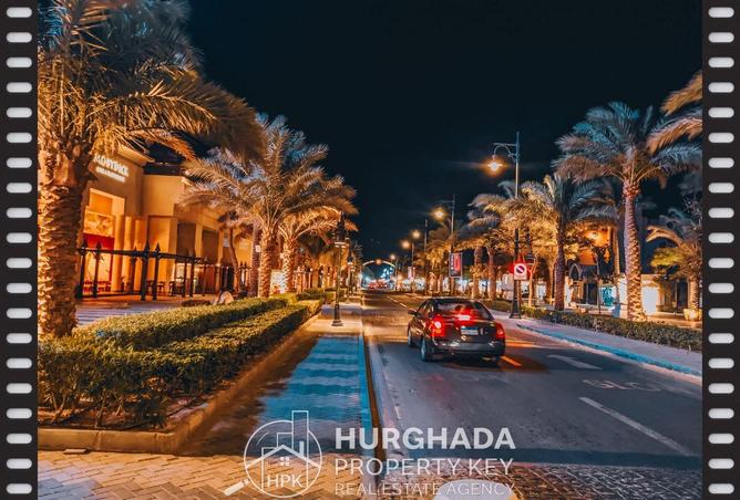 7997382 - Property Image 3