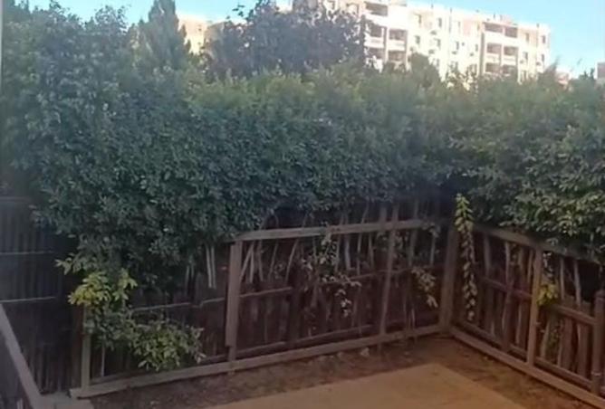 8495216 - Property Image 3