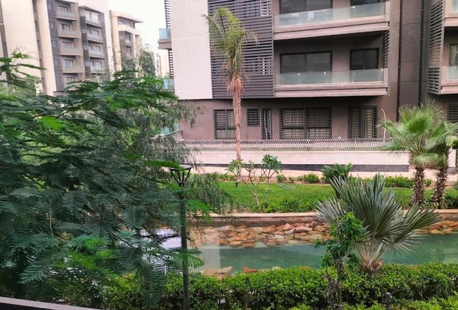 8027620 - صورة العقار 3