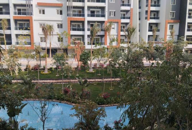 8524518 - Property Image 3