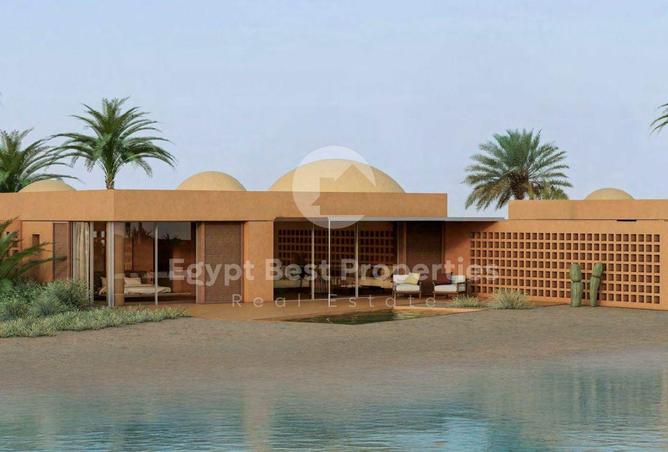 8295608 - Property Image 3