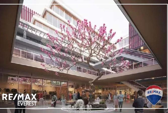 8191924 - Property Image 2