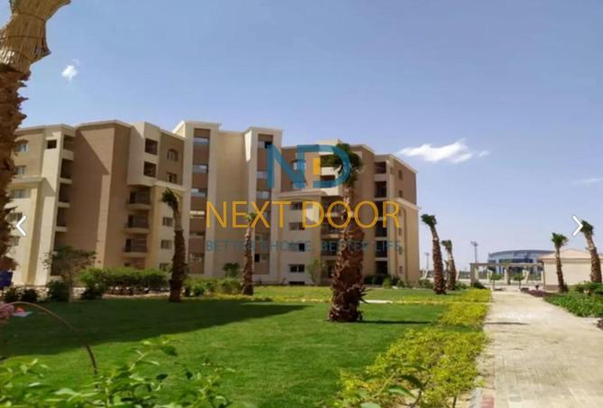 7944124 - صورة العقار 3