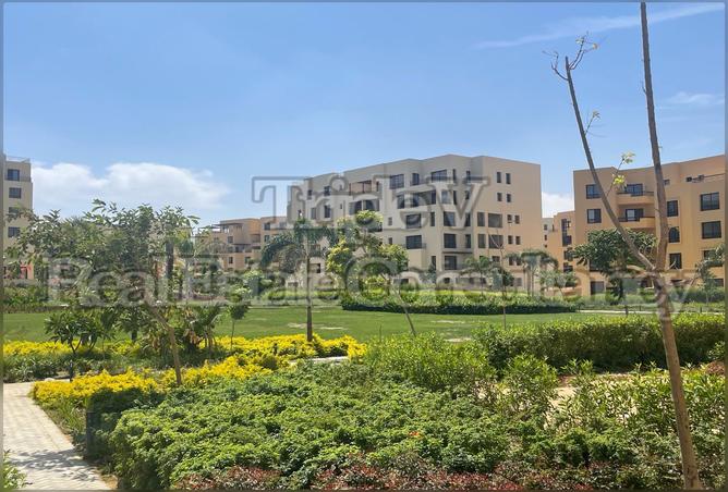 7987386 - Property Main Image