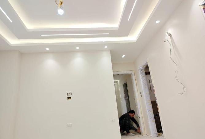 8277701 - Property Image 3