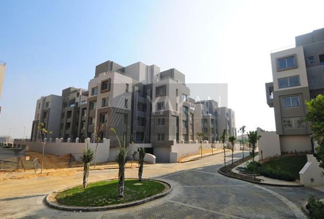 8409323 - Property Image 3