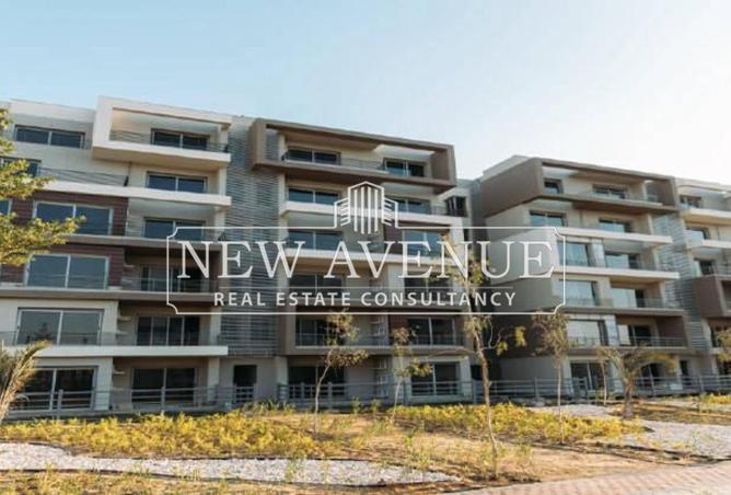 8197480 - Property Image 3