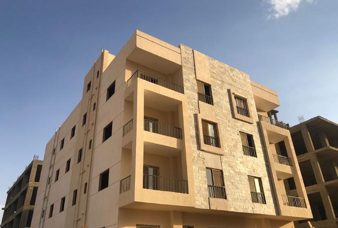 8432562 - Property Image 2