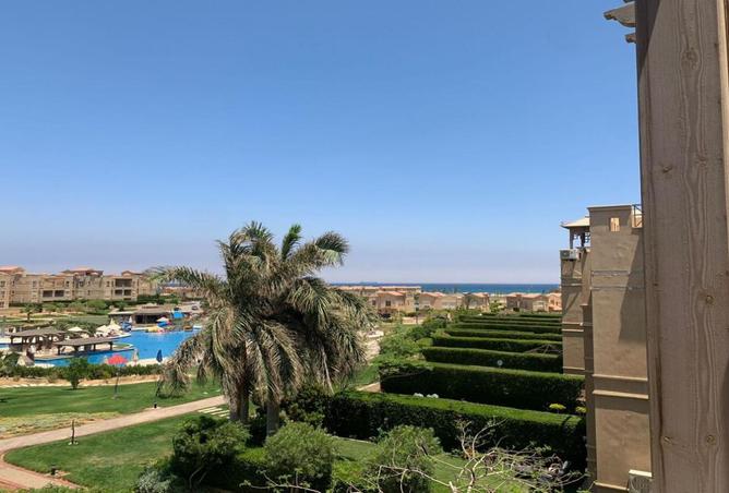 7916857 - صورة العقار 3