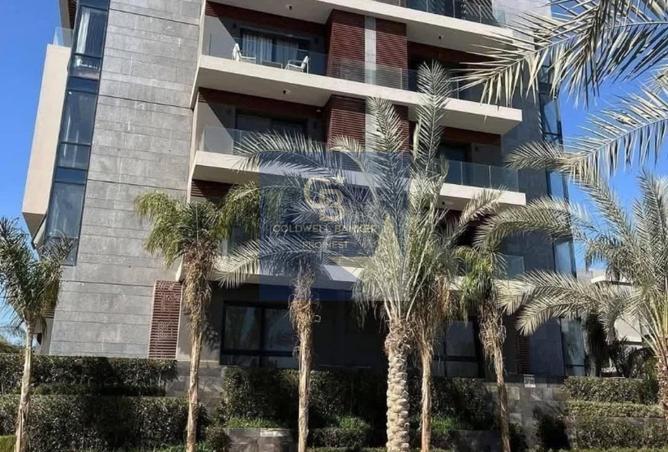 8463576 - صورة العقار 2