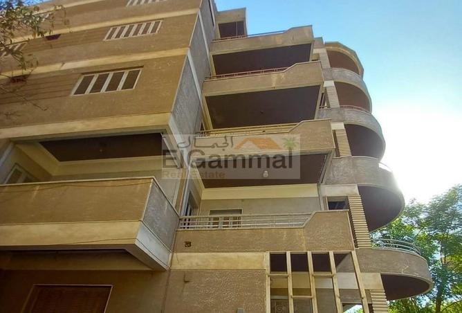 6455036 - Property Image 3