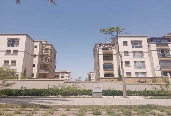 8035344 - Property Image 3