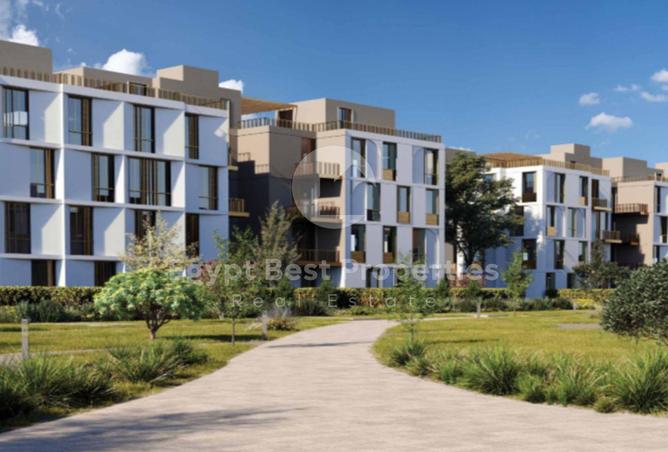 8384323 - Property Image 2