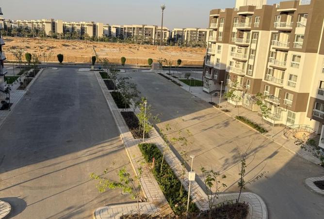 8221345 - Property Image 3