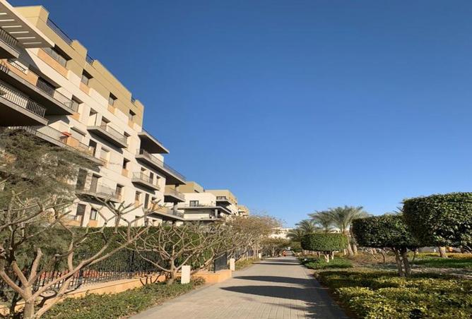 8088447 - صورة العقار 2